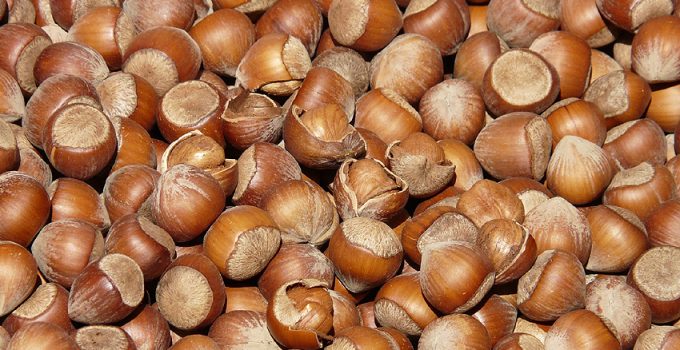 Fındık ihracatı Türkiye’ye rekor döviz kazandırdı